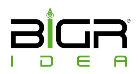 BiGR Idea logo